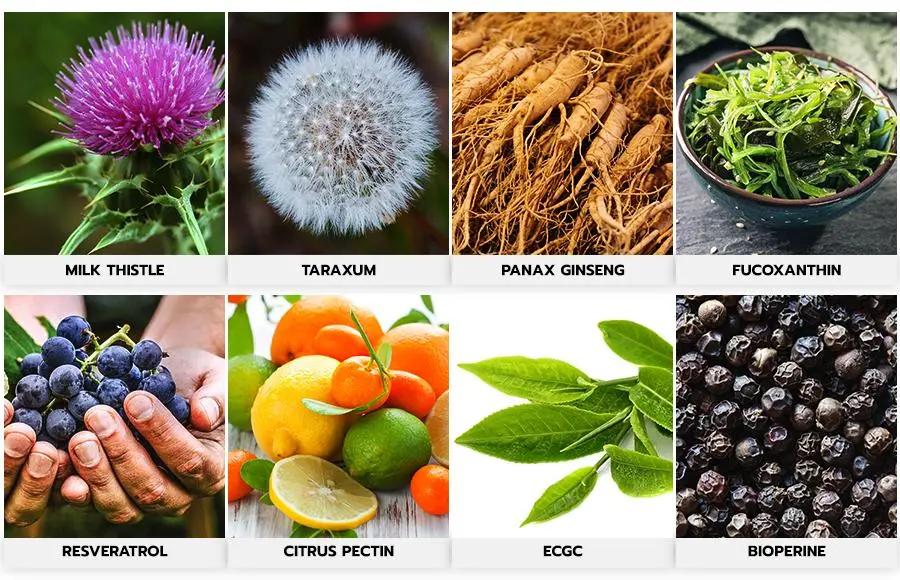 Ikaria Lean Belly Juice Ingredients